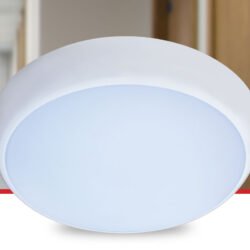 Oslo Multi Wattage LED Bulkhead